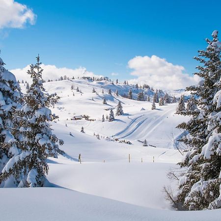 Chalet Anelie Happy Rentals Les Houches Eksteriør billede