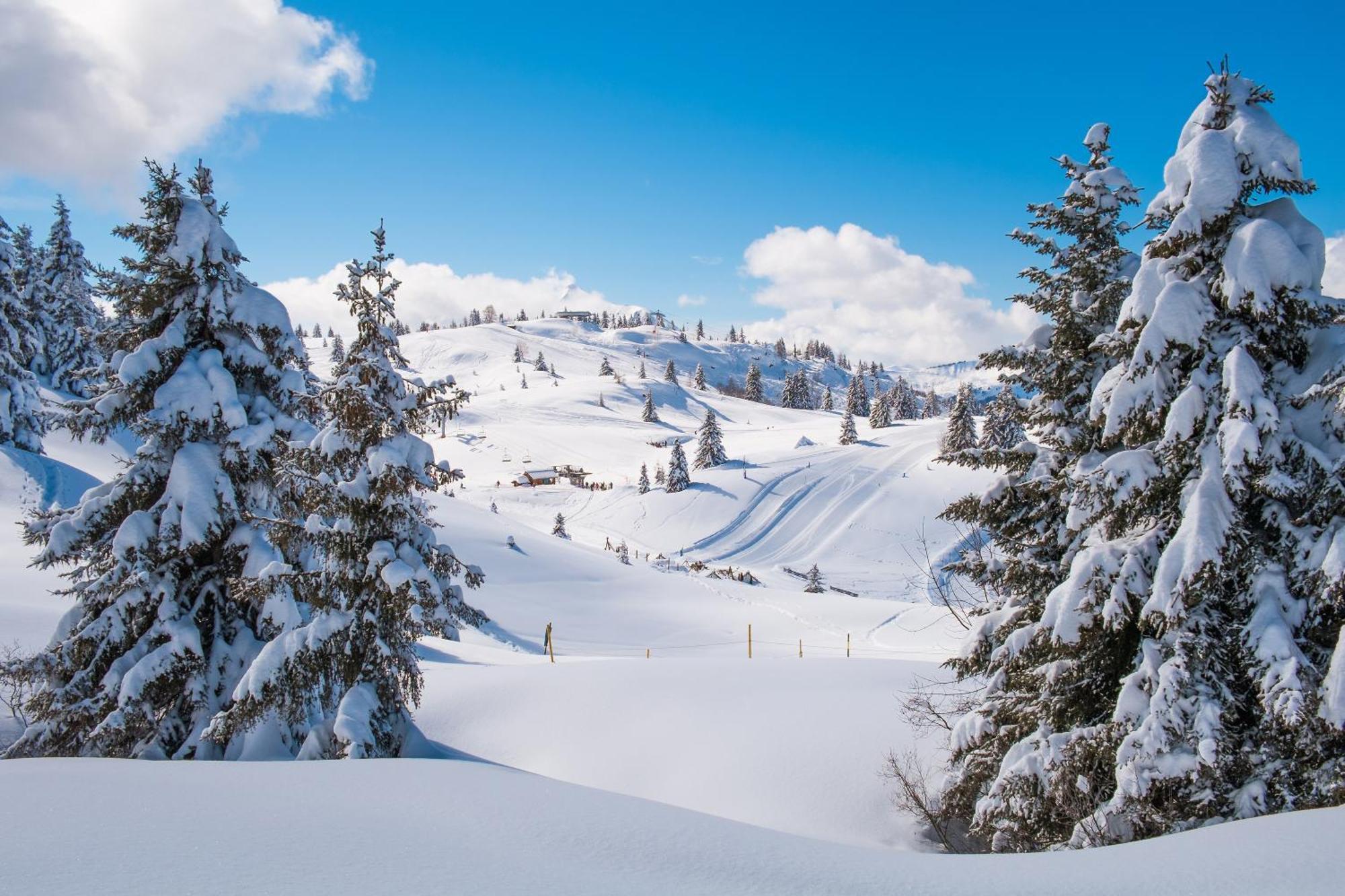 Chalet Anelie Happy Rentals Les Houches Eksteriør billede