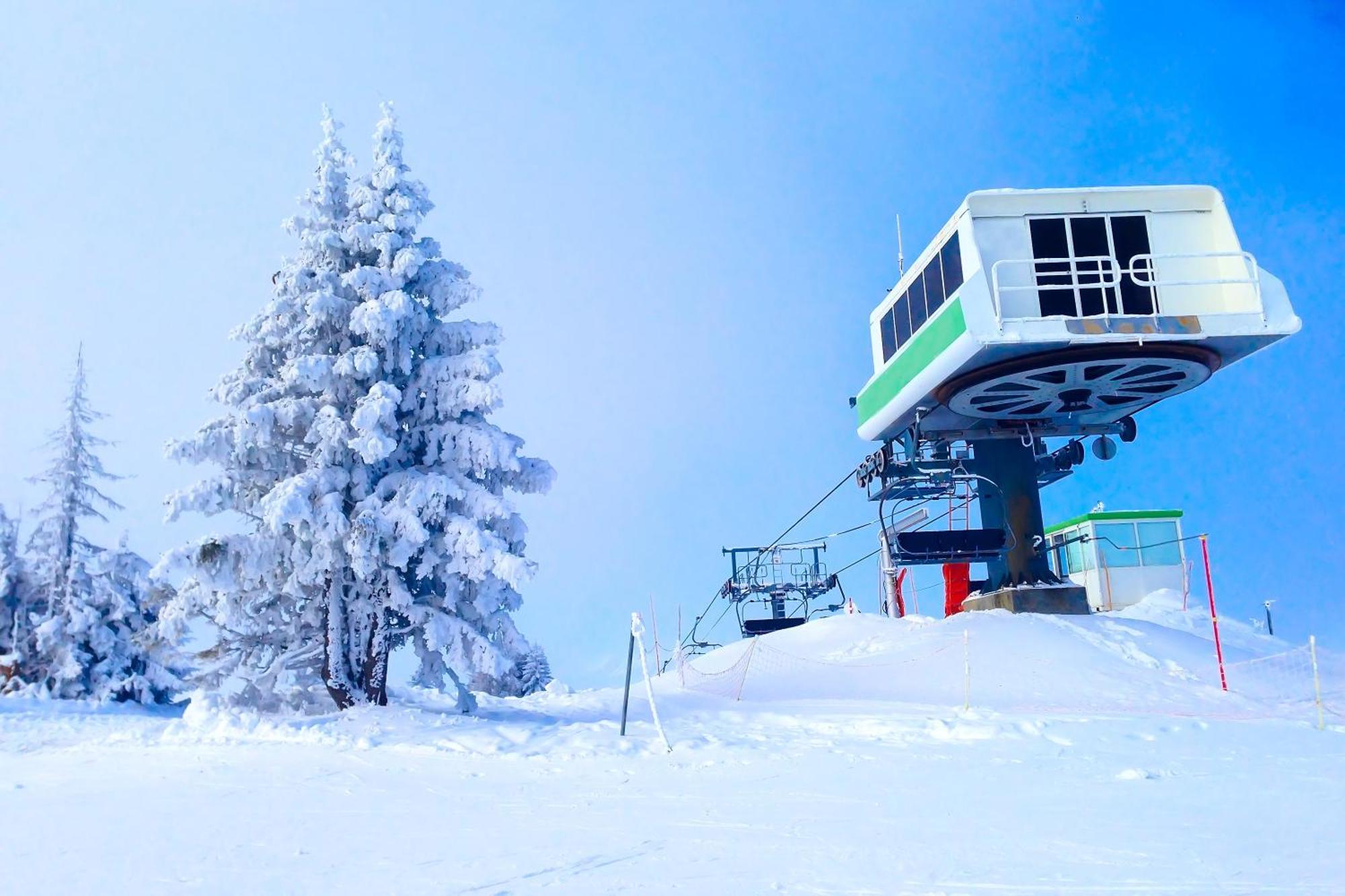 Chalet Anelie Happy Rentals Les Houches Eksteriør billede